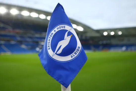 Brighton corner flag at the Amex